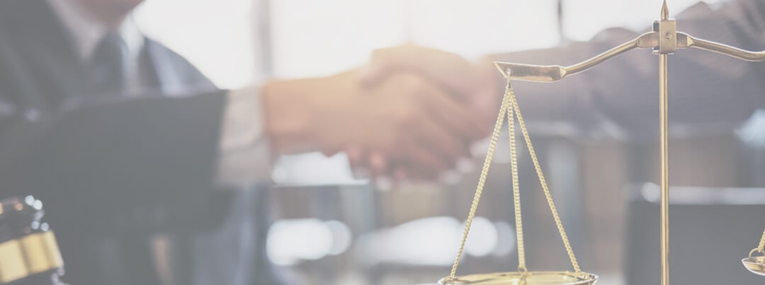 YNZ Legal banner image