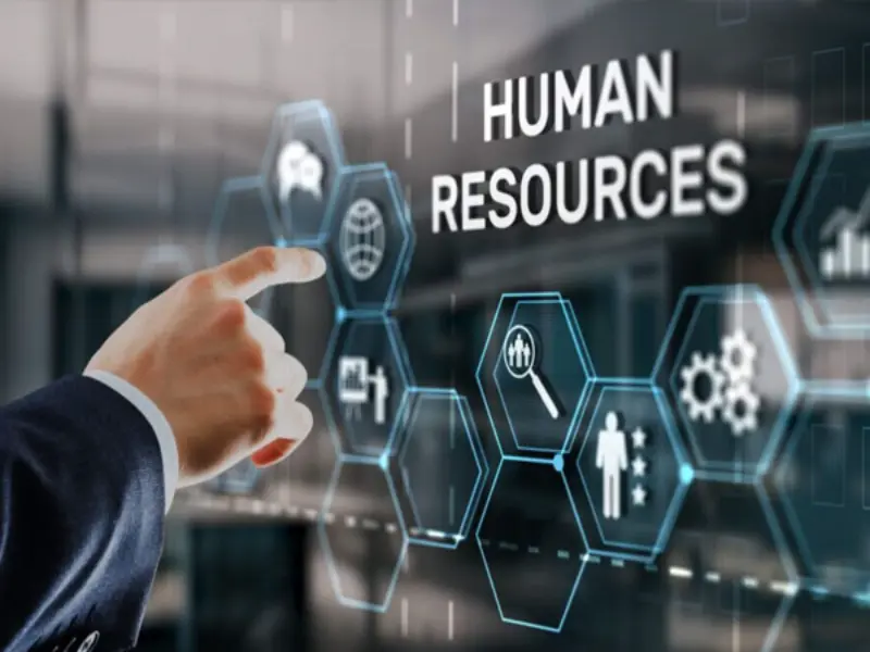 Human Resource Legal Consultants